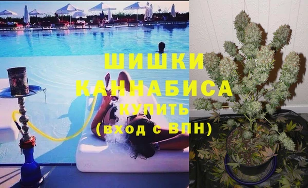 spice Абинск