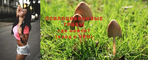 spice Абинск