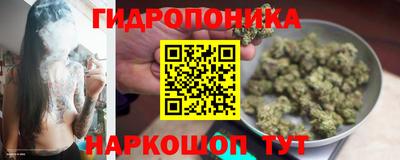 прущая мука Владимир